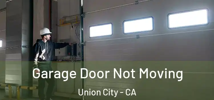  Garage Door Not Moving Union City - CA